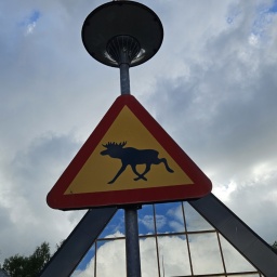 nordkap rundreise 2025_4